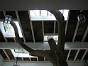 las terrazas-3
